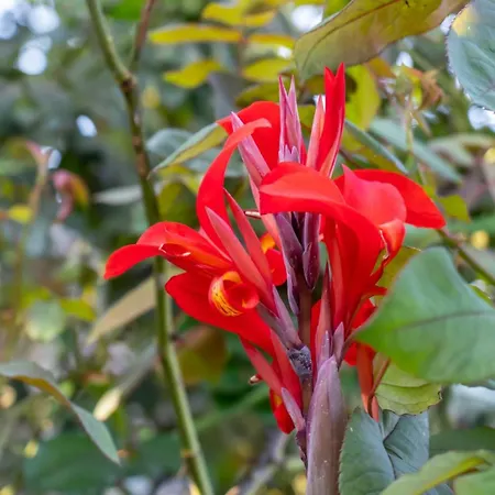 Beachfront Romantica Place First Floor Αγία Πελαγία Χλωμού