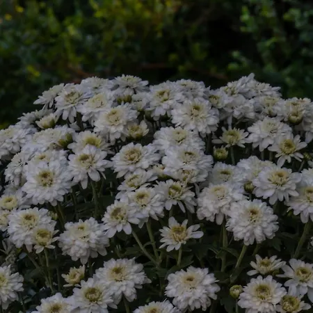 Beachfront Romantica Place First Floor Διαμέρισμα Αγία Πελαγία Χλωμού