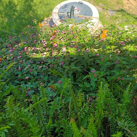 Апартаменты Beachfront Romantica Place First Floor