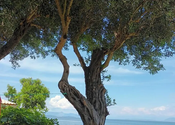 Διαμέρισμα Beachfront Romantica Place First Floor *