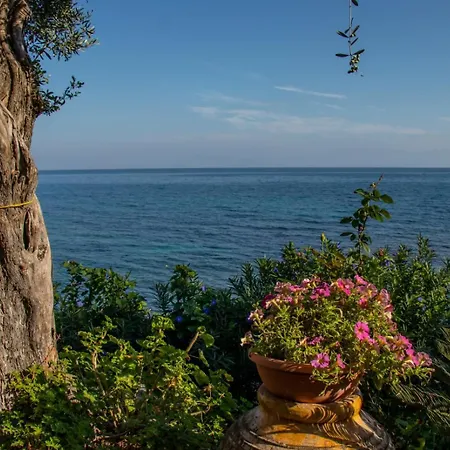 Beachfront Romantica Place First Floor *