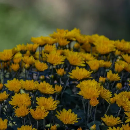 아파트 Beachfront Romantica Place First Floor Agia Pelagia Chlomou