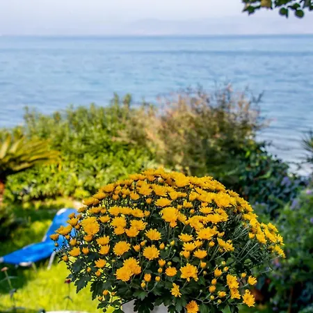 Beachfront Romantica Place First Floor *