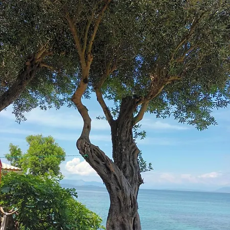 Daire Beachfront Romantica Place First Floor *