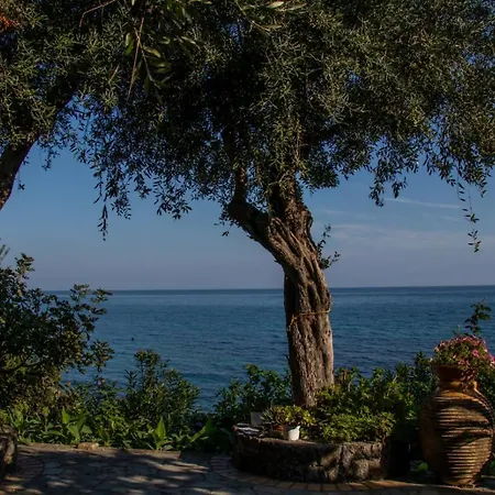 Beachfront Romantica Place First Floor