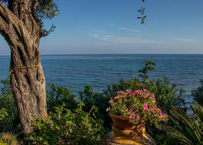 Beachfront Romantica Place First Floor *