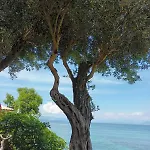 דירה Beachfront Romantica Place First Floor *